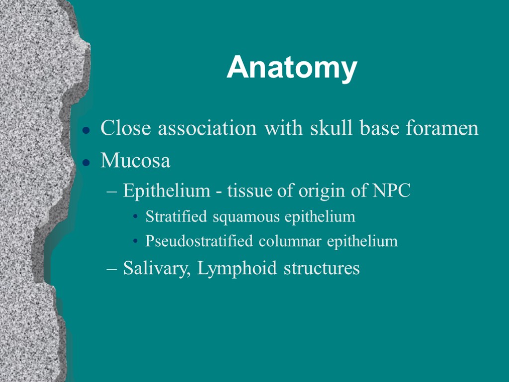 Anatomy Close association with skull base foramen Mucosa Epithelium - tissue of origin of